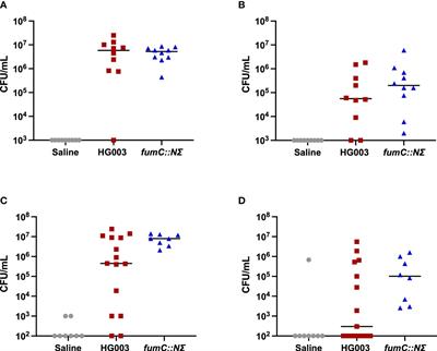 Staphylococcus aureus persisters are associated with reduced clearance in a catheter-associated biofilm infection